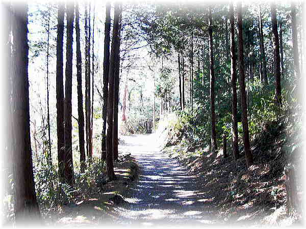 松尾寺への道